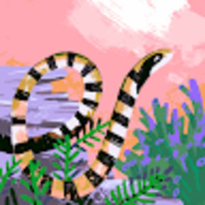 Meet your Posher, Erika